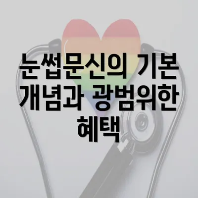 눈썹문신의 기본 개념과 광범위한 혜택