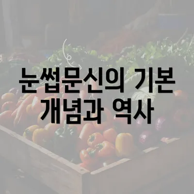 눈썹문신의 기본 개념과 역사