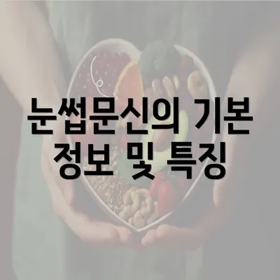 눈썹문신의 기본 정보 및 특징