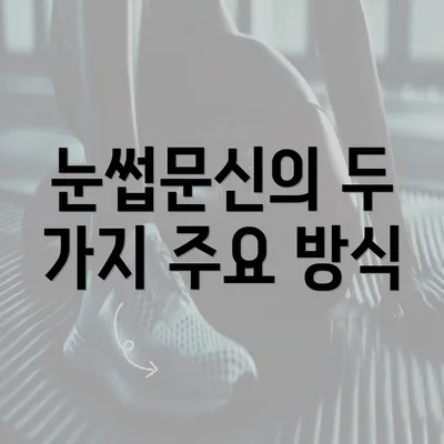 눈썹문신의 두 가지 주요 방식