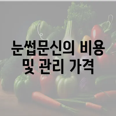 눈썹문신의 비용 및 관리 가격