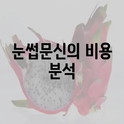 눈썹문신의 비용 분석