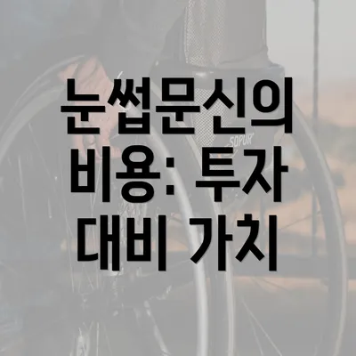 눈썹문신의 비용: 투자 대비 가치