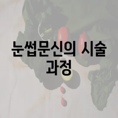 눈썹문신의 시술 과정