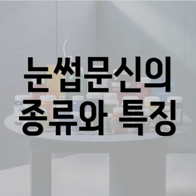 눈썹문신의 종류와 특징