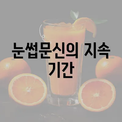 눈썹문신의 지속 기간