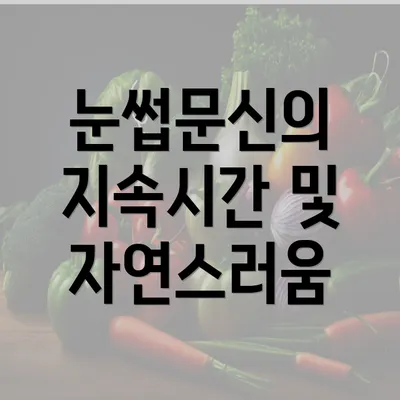 눈썹문신의 지속시간 및 자연스러움