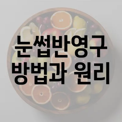 눈썹반영구 방법과 원리