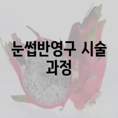 눈썹반영구 시술 과정