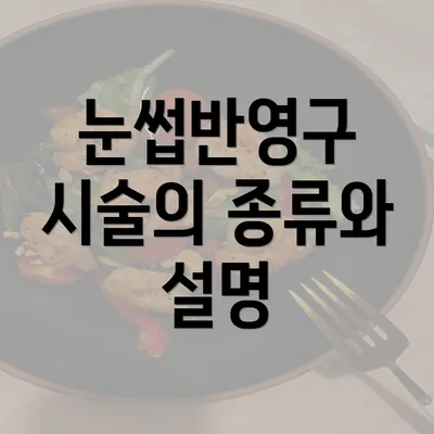 눈썹반영구 시술의 종류와 설명