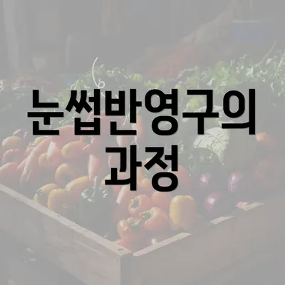 눈썹반영구의 과정