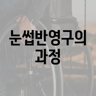 눈썹반영구의 과정