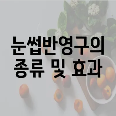 눈썹반영구의 종류 및 효과