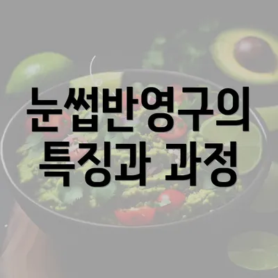 눈썹반영구의 특징과 과정