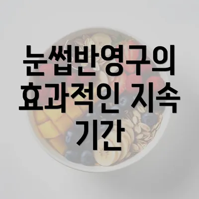 눈썹반영구의 효과적인 지속 기간