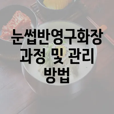 눈썹반영구화장 과정 및 관리 방법