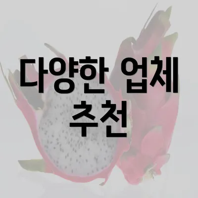 다양한 업체 추천