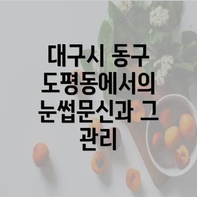 대구시 동구 도평동에서의 눈썹문신과 그 관리