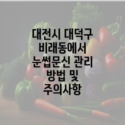 대전시 대덕구 비래동에서 눈썹문신 관리 방법 및 주의사항