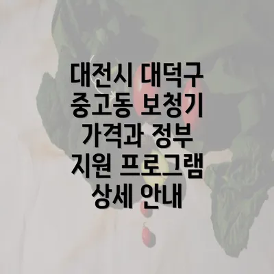 대전시 대덕구 중고동 보청기 가격과 정부 지원 프로그램 상세 안내