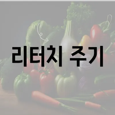 리터치 주기