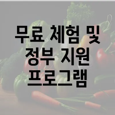 무료 체험 및 정부 지원 프로그램