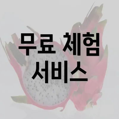 무료 체험 서비스