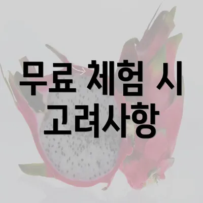 무료 체험 시 고려사항