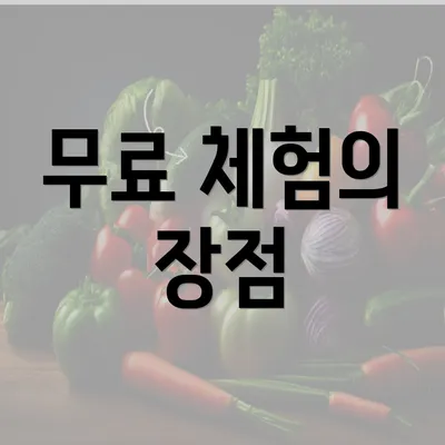 무료 체험의 장점