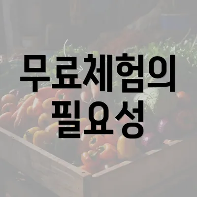 무료체험의 필요성