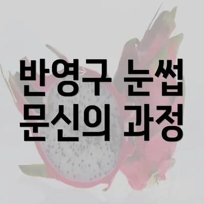 반영구 눈썹 문신의 과정