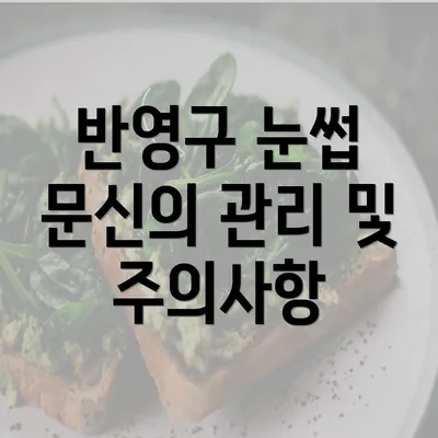 반영구 눈썹 문신의 관리 및 주의사항