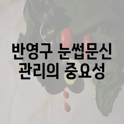 반영구 눈썹문신 관리의 중요성