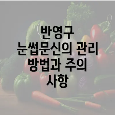 반영구 눈썹문신의 관리 방법과 주의 사항