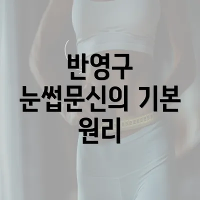 반영구 눈썹문신의 기본 원리