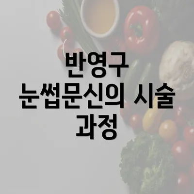 반영구 눈썹문신의 시술 과정