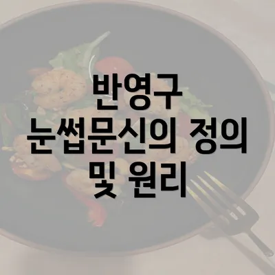 반영구 눈썹문신의 정의 및 원리