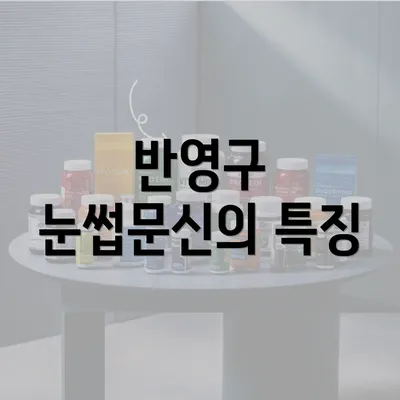 반영구 눈썹문신의 특징