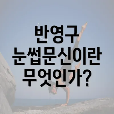 반영구 눈썹문신이란 무엇인가?