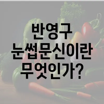 반영구 눈썹문신이란 무엇인가?