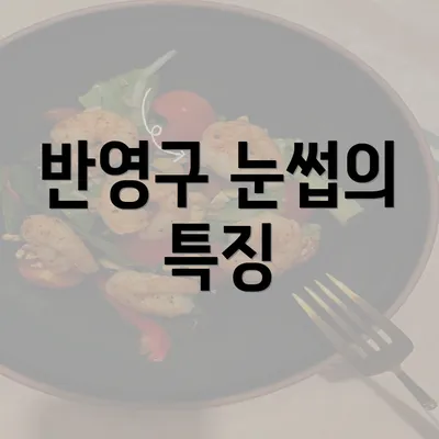 반영구 눈썹의 특징