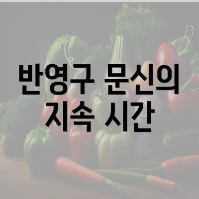 반영구 문신의 지속 시간