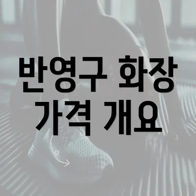 반영구 화장 가격 개요