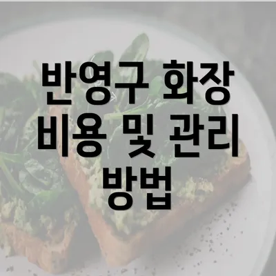 반영구 화장 비용 및 관리 방법