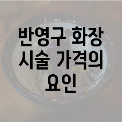 반영구 화장 시술 가격의 요인