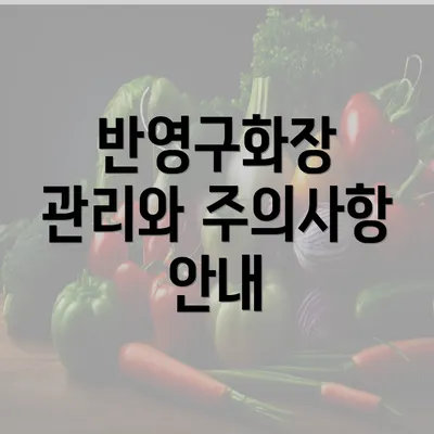 반영구화장 관리와 주의사항 안내