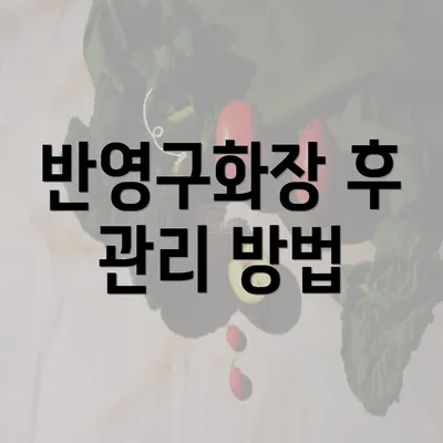 반영구화장 후 관리 방법