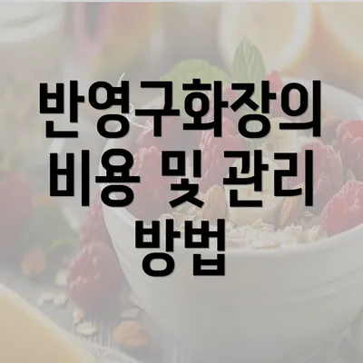 반영구화장의 비용 및 관리 방법