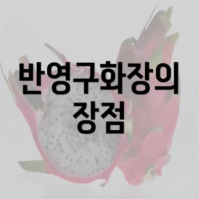 반영구화장의 장점