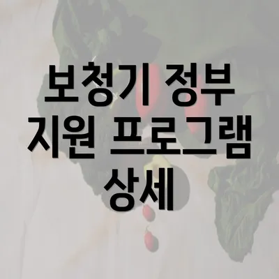 보청기 정부 지원 프로그램 상세